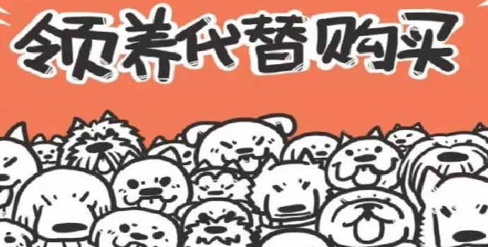 大连宠物领养