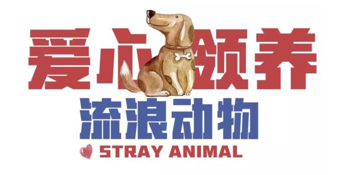 大连宠物领养