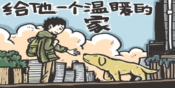 大连宠物领养